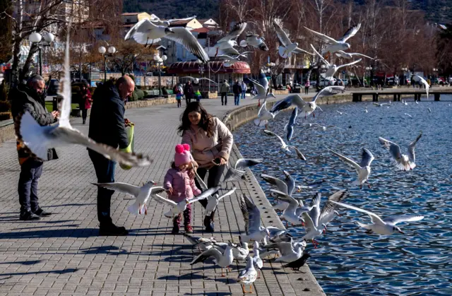 охрид, охридско језеро, људи хране птице на обали охридског језера
