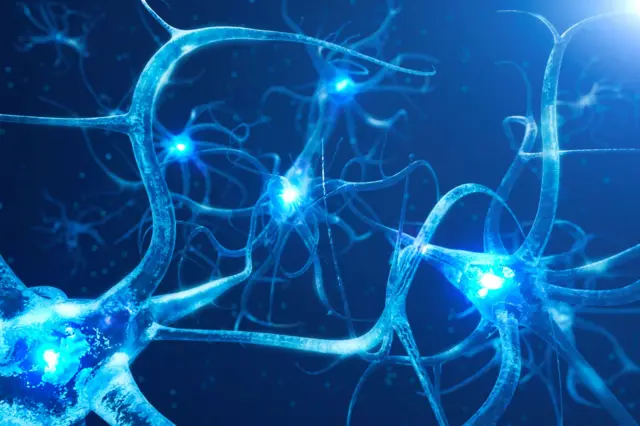 न्यूरॉन्सचं जाळं 