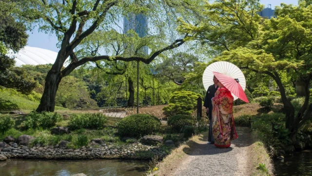 اشتداد الحرارة في اليابان.