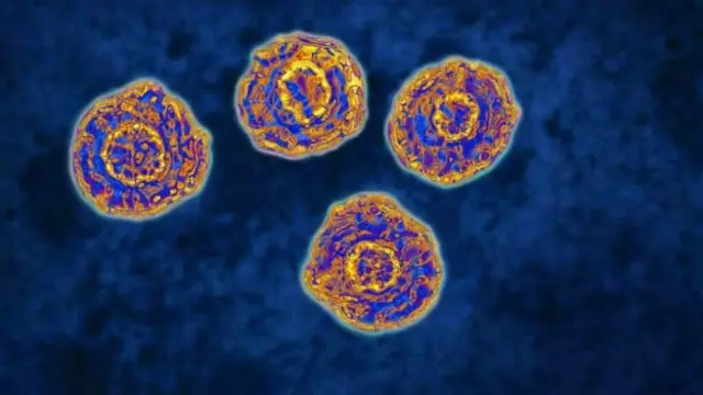 పచ్చకామెర్లు