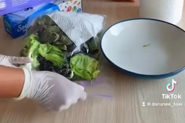 คลิปสาธิตการจัดเก็บผักสดให้อยู่ได้นาน ๆ