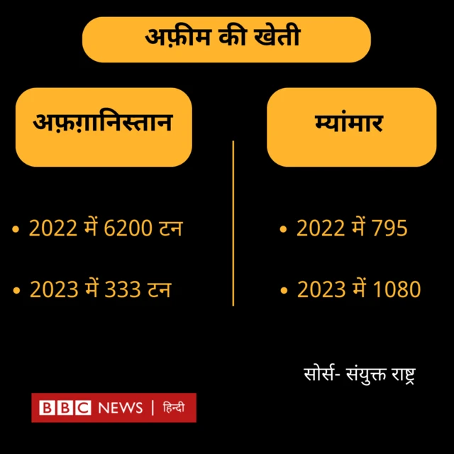 अफीम की खेती 