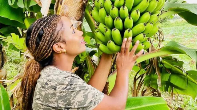 በረከት ኣብ ናይ ባናና ሕርሻ