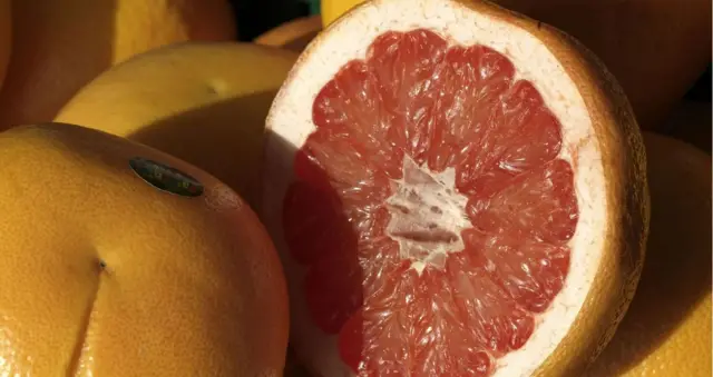 Кызыл апельсин