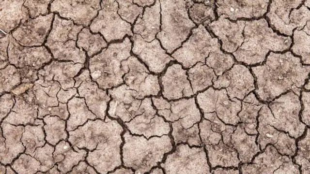 ఎల్ నినో