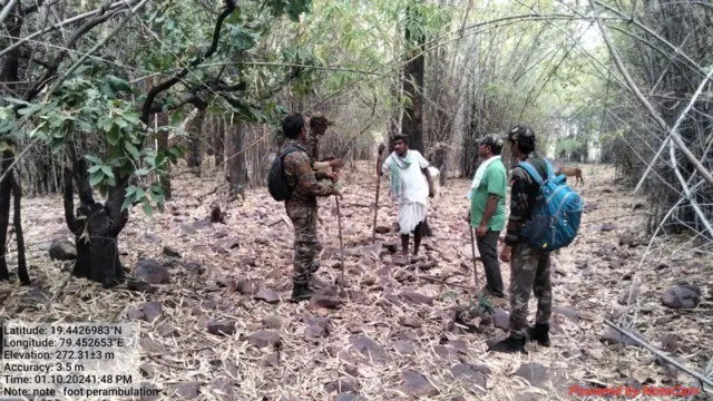 టైగర్స్