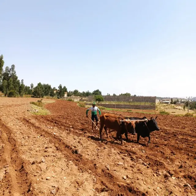 ሙሉ ኣብ እዋን ዕረፍቱ ምስ ናይ ስፖርት ዕጥቁ እናሓረሰ ንስድርኡ ይሕግዝ