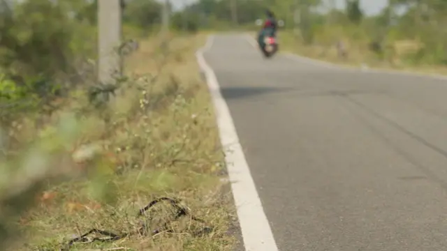 'வெடிச் சத்தத்தால் அதிரும் வீடுகள்' - புதுக்கோட்டையில் கனிம வள சுரண்டல் நீடிக்கிறதா? பிபிசி கள ஆய்வு