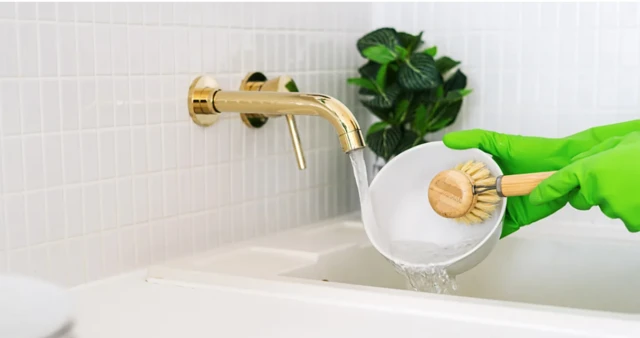 ஆரோக்கியம், உடல்நலம், பாக்டீரியாக்கள், மனித உடல், உணவுகள் 