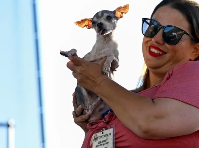  پتونیا با پشت سر گذاشتن رقبای سرسخت، مقام اول را کسب کرد