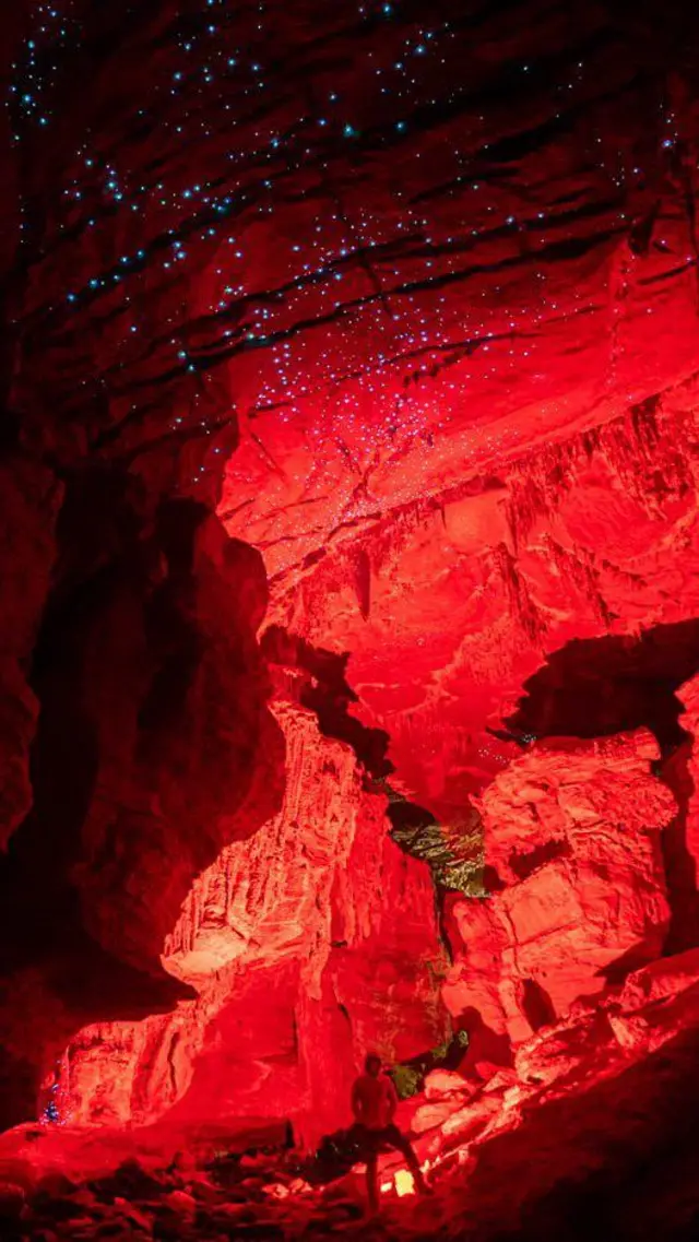 Imagem noturna de criaturas bioluminescentes em uma caverna na Austrália