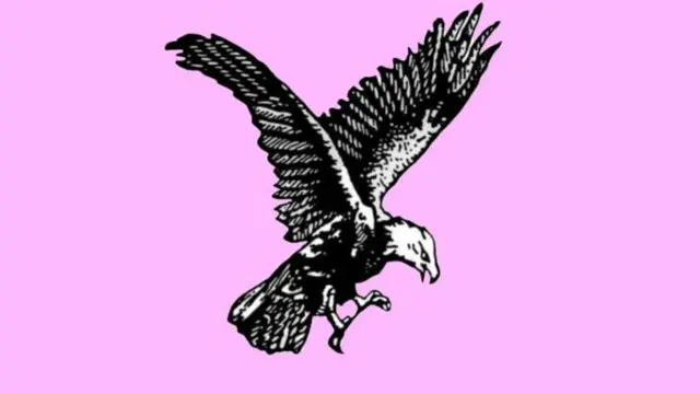 আলোচিত স্বতন্ত্র প্রার্থীদের অনেকে ঈগল প্রতীক নিয়ে নির্বাচন করছেন। 