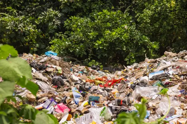 दुर्गंधीचा त्रास असलेल्या परिसरात जे लोक राहतात, त्यांच्यासाठी आयुष्य कठीण असू शकतं. 