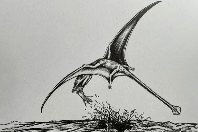 แคมพิโลนาไทด์ 