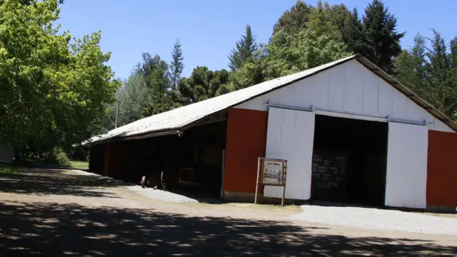 Bodega de papas