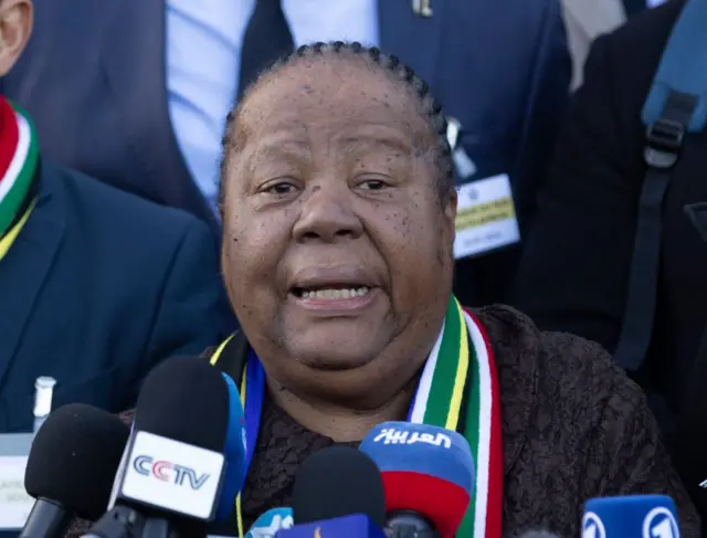 નાલેદી પેન્ડોર