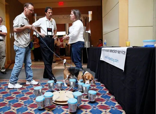 માંકડને પકડવા માટે કૂતરાઓનો ઉપયોગ