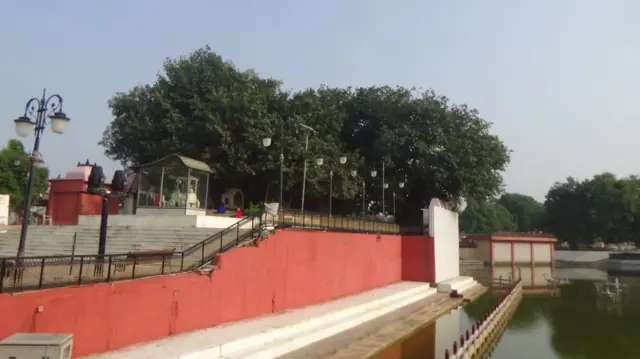 ਰੁੱਖਾਂ ਲਈ ਪੈਨਸ਼ਨ