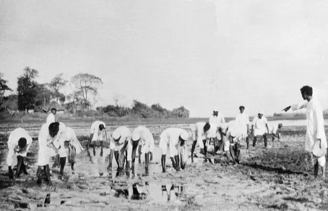 प्रातिनिधिक फोटो