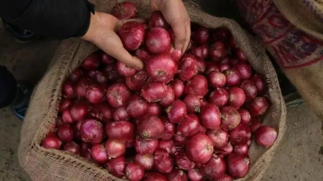 ఉల్లిగడ్డలు