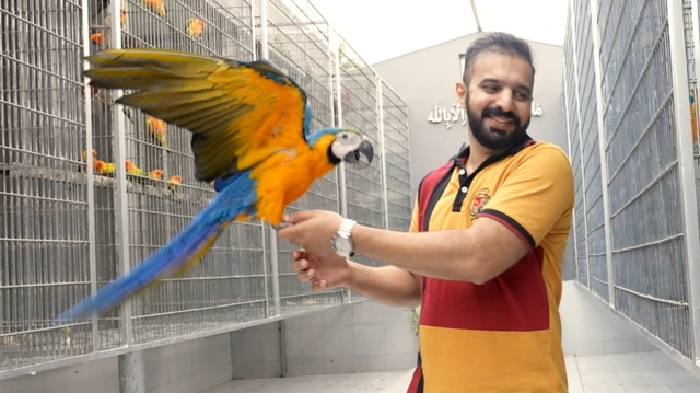 பாகிஸ்தான், பறவைகள்