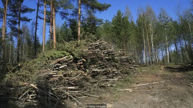 कोयला, बिजली, प्रदूषण, पावर प्लांट