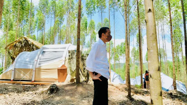 Presiden Jokowi berkemah di kawasan Titik Nol Ibu Kota Nusantara pada 14 Maret 2022