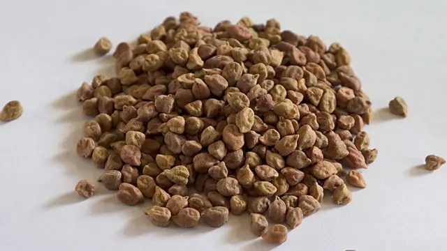 রমজানে যেসব পণ্যের চাহিদা বাড়ে তার মধ্যে ছোলা অন্যতম