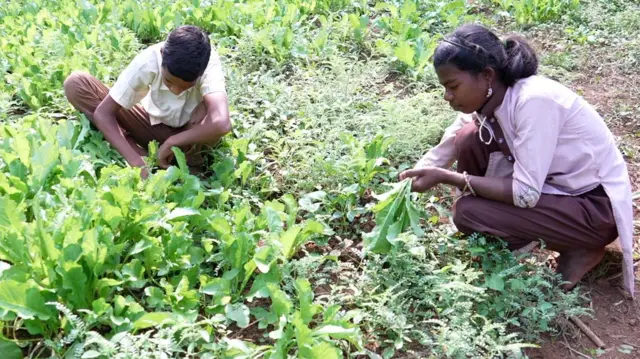 दिनेश आणि मंगल