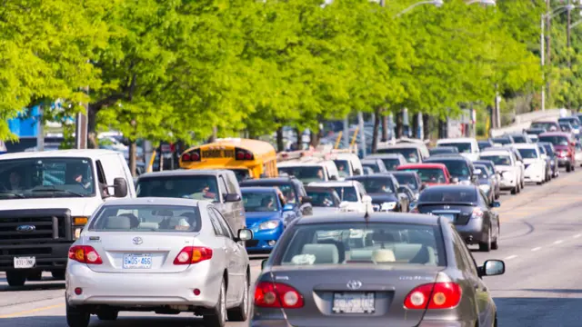 Avenida con autos junto a una fila de árboles frondosos
