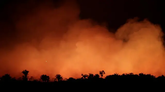 Incendio en el Amazonas.
