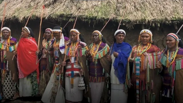 Dubartoota siinqee qabatanii dhaabbatan