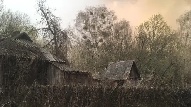 Лелів до пожежі