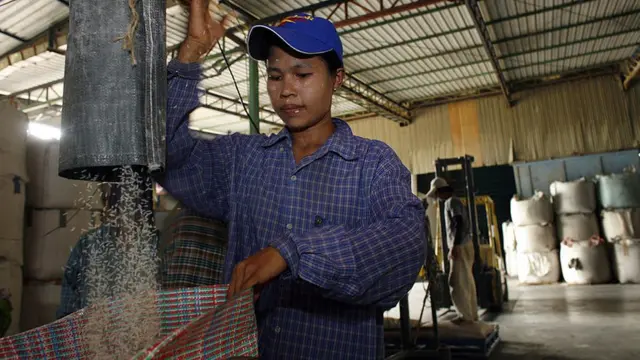 ผลกระทบจำนำข้าว