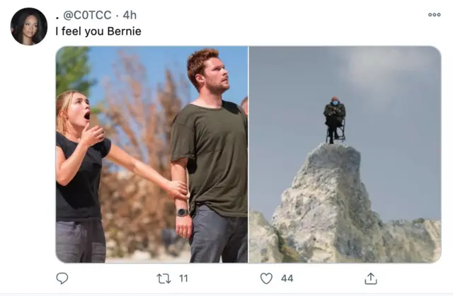 Берни на скале