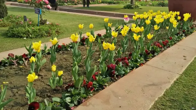 ਮੁਗਲ ਗਾਰਡਨ