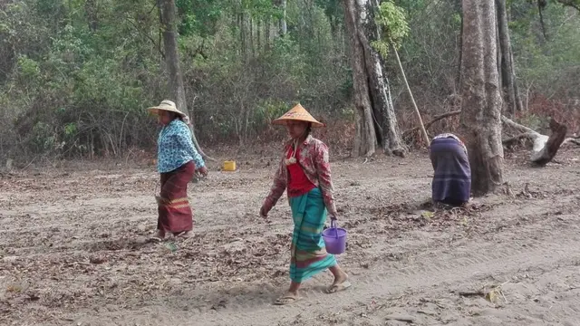 တိရစ္ဆာန်ငယ်လေးတွေ ရေပြတ်လို့ မင်းကင်းမြို့နယ် ကျောက်ပန်းကုန်းရွာက ဒေသခံတချို့ စုပေါင်းပြီး ရေသွား တိုက် ကြပါတယ်။