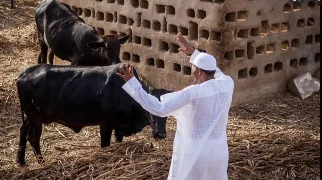 aworan aarẹ Buhari