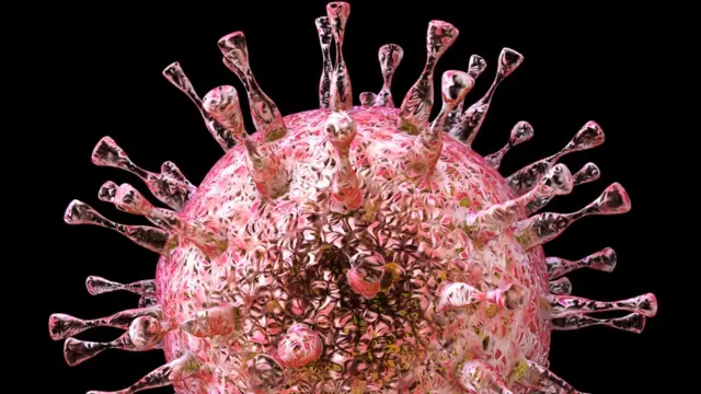 Citomegalovirus
