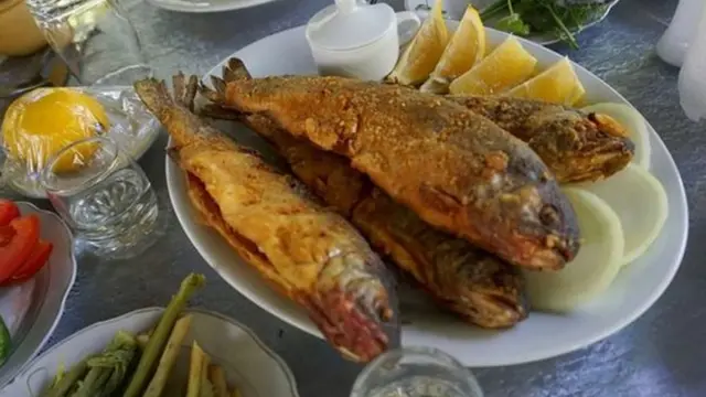 اس خطے میں خوارک کی پیداوار کے لیے سائینسی اختراہوں کے استعمال پر سخت پابندی عائد ہے، آہستہ آہستہ کھانے کھانے کی ثقافت نے اسے مقامی غذا کے استعمال کی جنت بنا دیا ہے