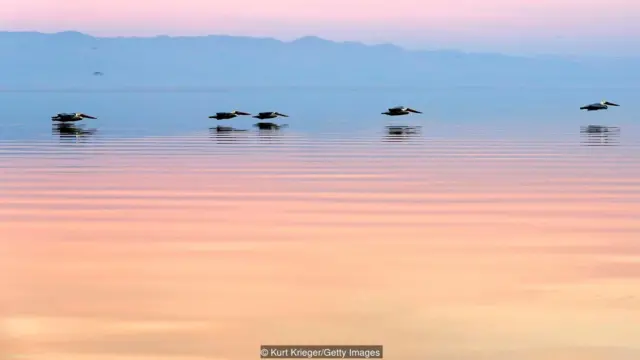 Laut Salton, California