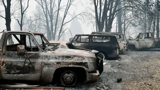 காட்டுத்தீயால் ஏற்பட்ட சேதம்