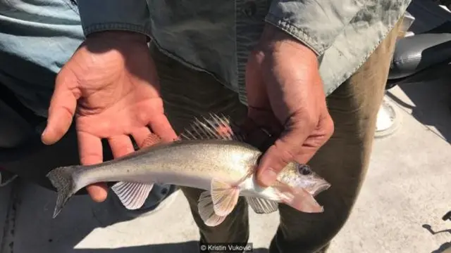 बीबीसी ट्रैवल