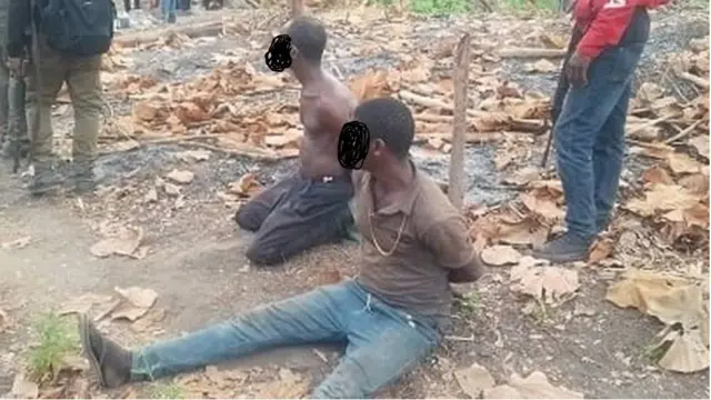 Awon Olokoowo igbo meji