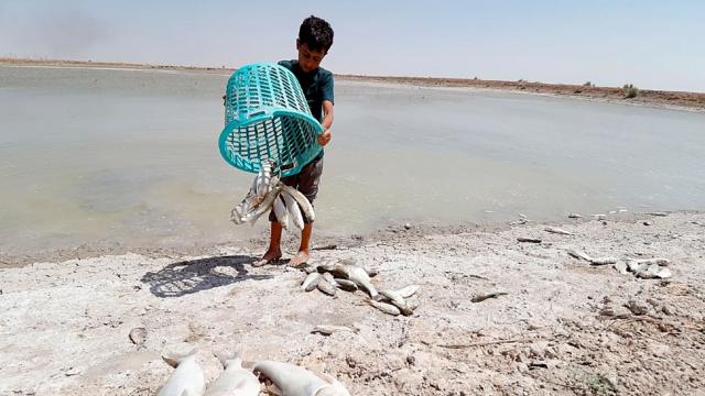 Pescador en Irak