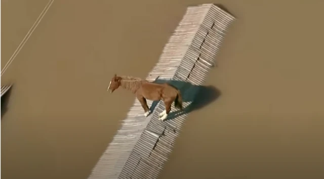 ब्राज़ील में बाढ़ 