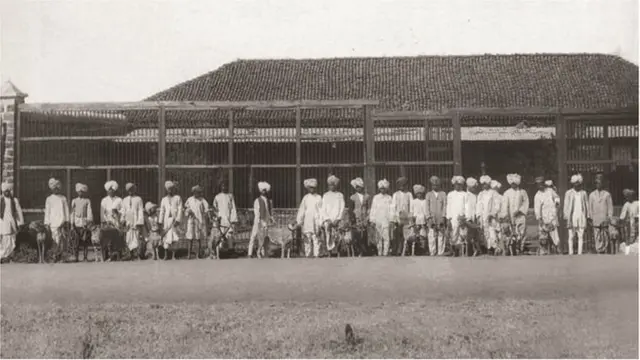 చీతాల శాల