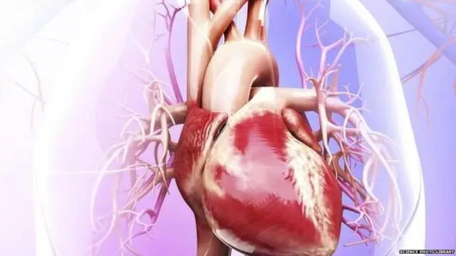 ਦਿਲ ਦੀ ਬਿਮਾਰੀ