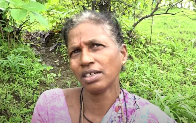 चारुशिला ठाकरे