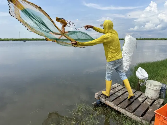 Granja camaronera en Ecuador
